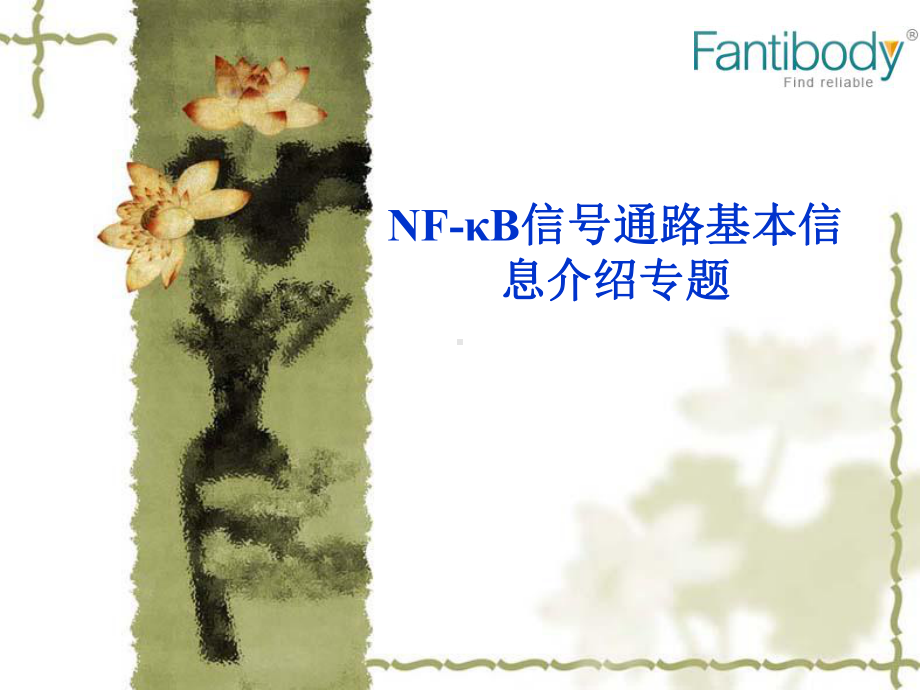 图解NFB信号通路专题ppt课件.ppt_第1页