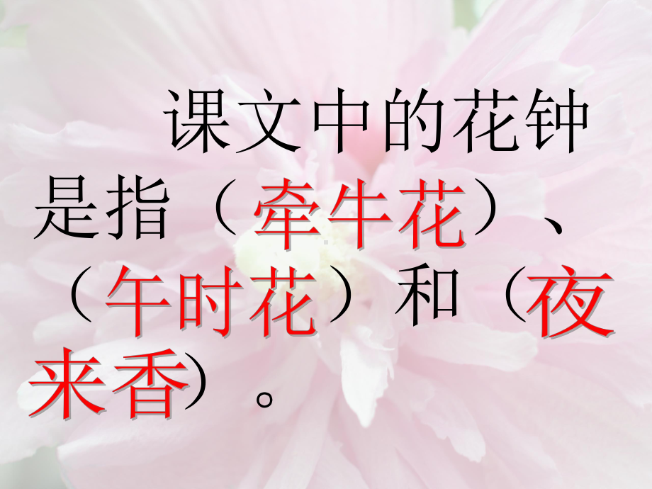 《花钟》PPT课件-PPT课件.ppt_第3页