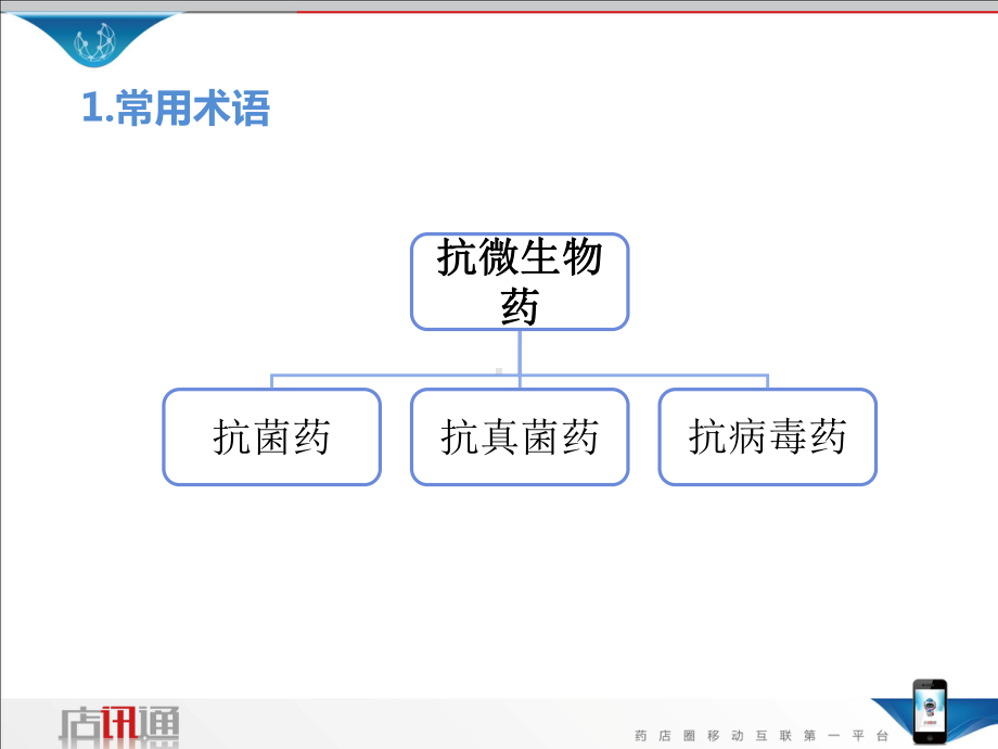 执业药师必看课程之抗生素篇店讯通课件.ppt_第3页