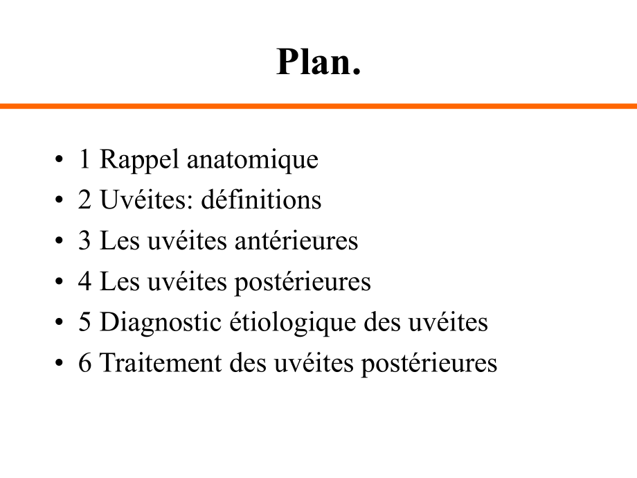 外教医学课件--Les-uvéites.-葡萄膜炎.ppt_第2页