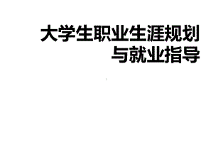 大学生职业生涯规划与就业指导第十三章ppt课件.ppt