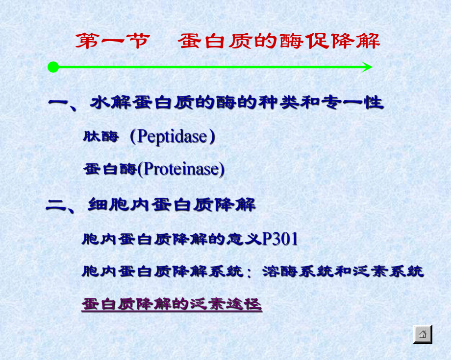 最新-PRO分解代谢-PPT精品课件.ppt_第2页