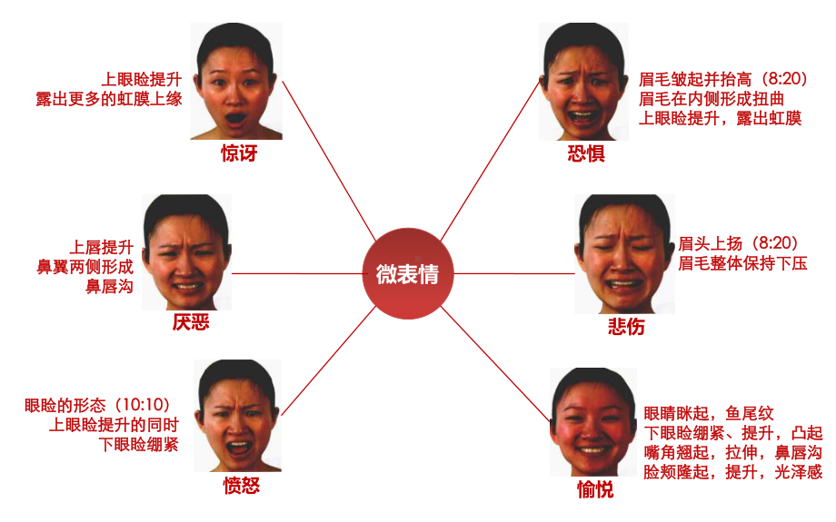 微表情与面部肌肉分析专业课件.ppt_第3页