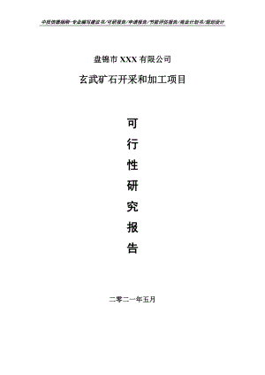 玄武矿石开采和加工项目可行性研究报告申请报告案例.doc