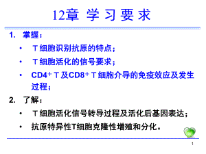 免疫学-T细胞应答PPT幻灯片课件.ppt