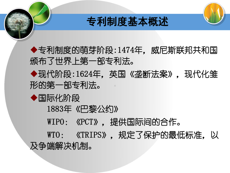 专利知识讲座课件.ppt_第3页