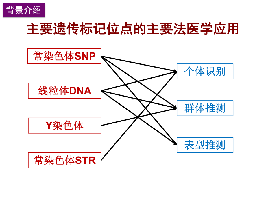 应用于法医学的STR-和SNP-遗传学标记在二代测序平台课件.pptx_第3页