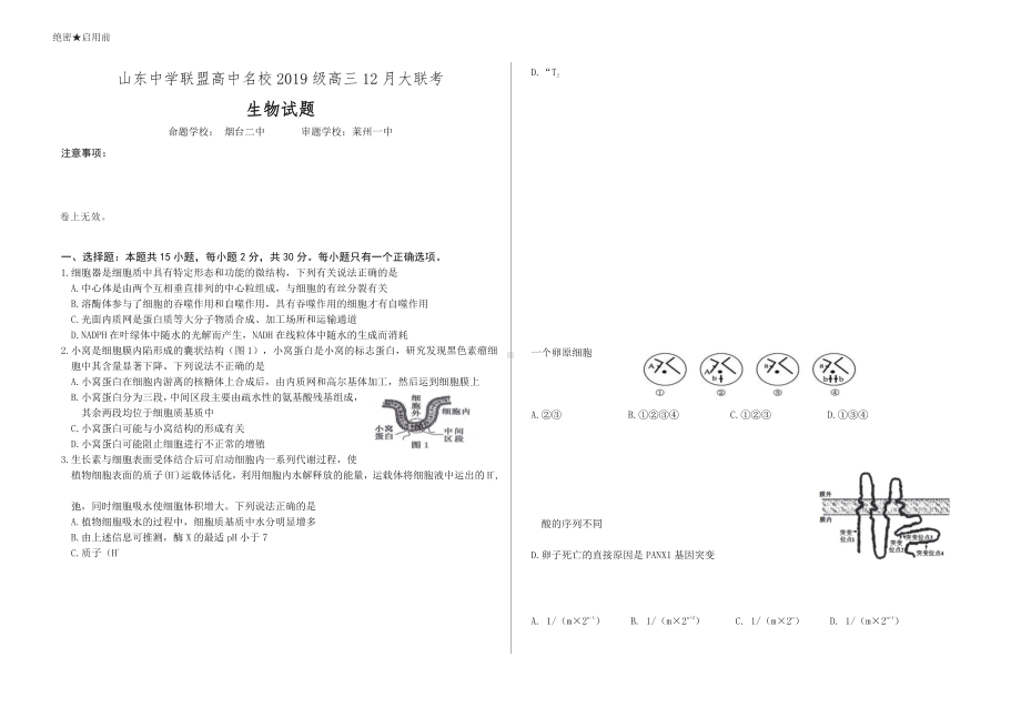 山东省中学联盟高中名校2022届高三上学期12月联考试题 生物.pdf_第1页