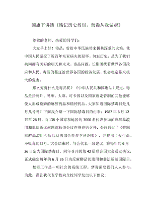 国旗下讲话《铭记历史教训禁毒从我做起》.docx