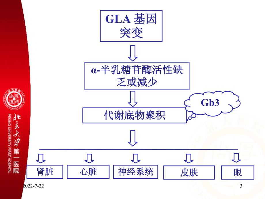 法布里病家系成员多器官病变调查课件.ppt_第3页