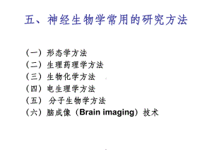 神经生物学的常用研究方法ppt课件.ppt