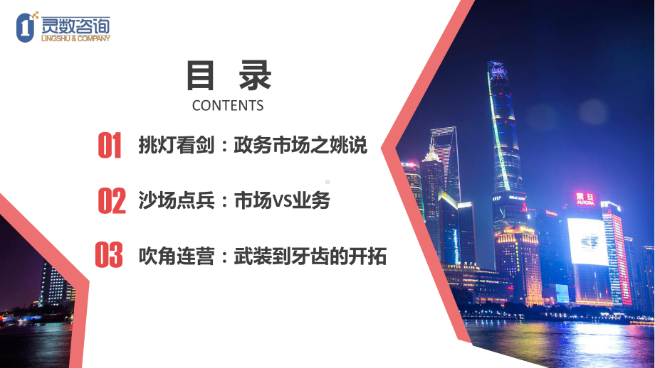 灵数咨询CEO：从精细化耕耘看地方政务市场的开拓课件.pptx_第2页