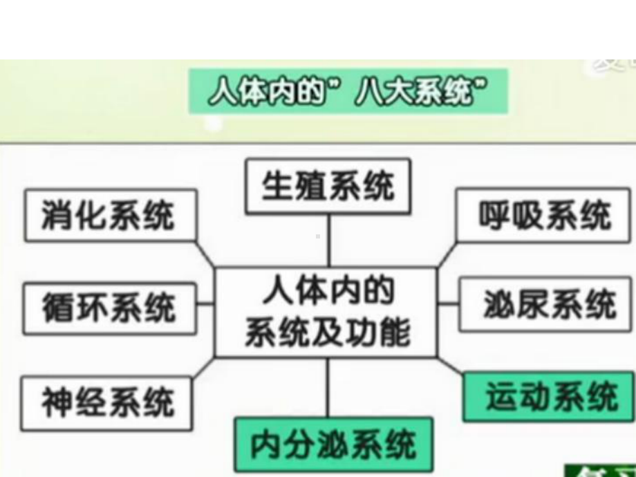 人体奥秘-精选课件.pptx_第1页