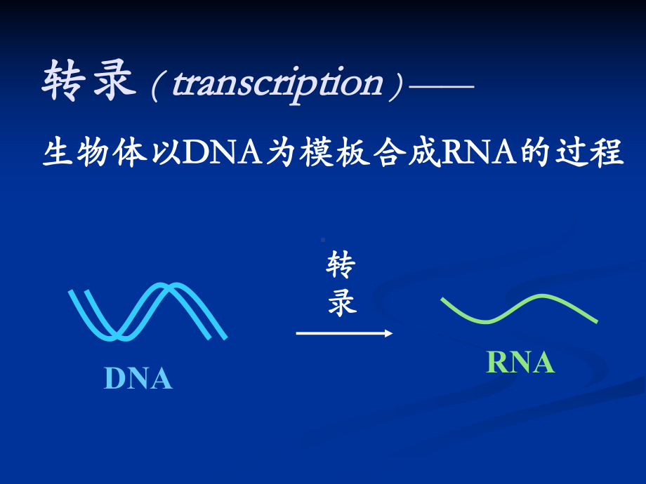 第五章转录课件.ppt_第2页