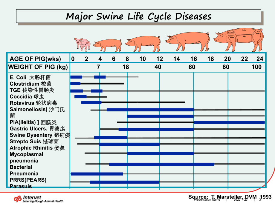 猪的肠道健康及其维护课件.ppt_第3页