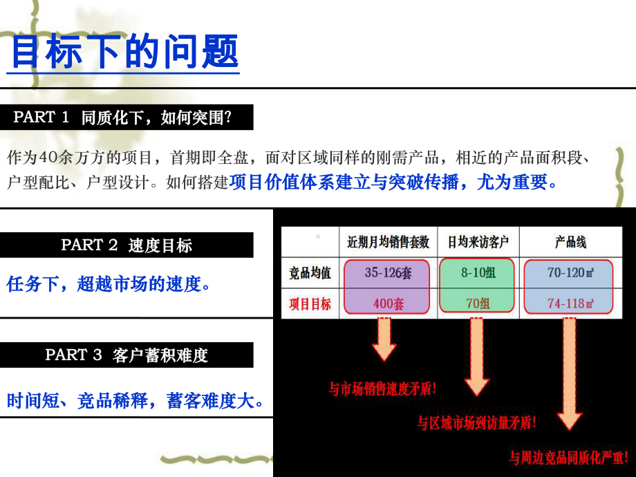 水电水立方项目营销策略及执行方案1.ppt_第2页