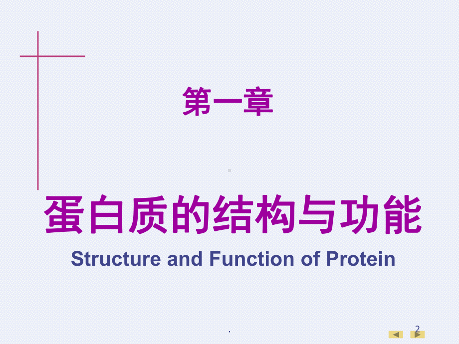 生物化学与分子生物学(人卫版)教材全集(课堂PPT)课件.ppt_第2页