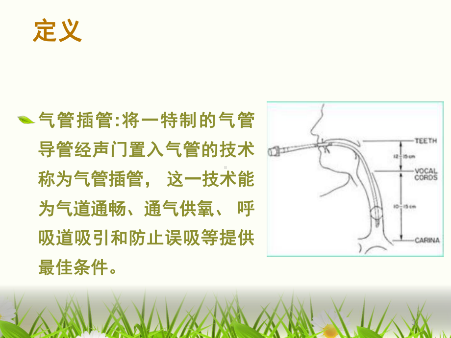 气管插管配合PPT医学课件.pptx_第3页