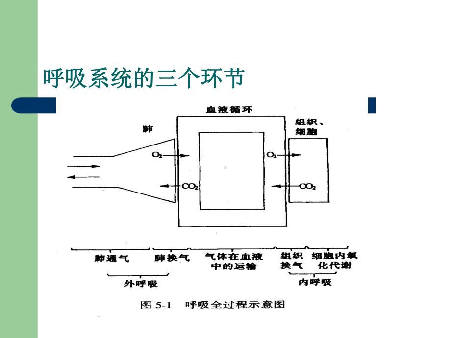 氧气吸入法课件-PPT精选.ppt_第2页