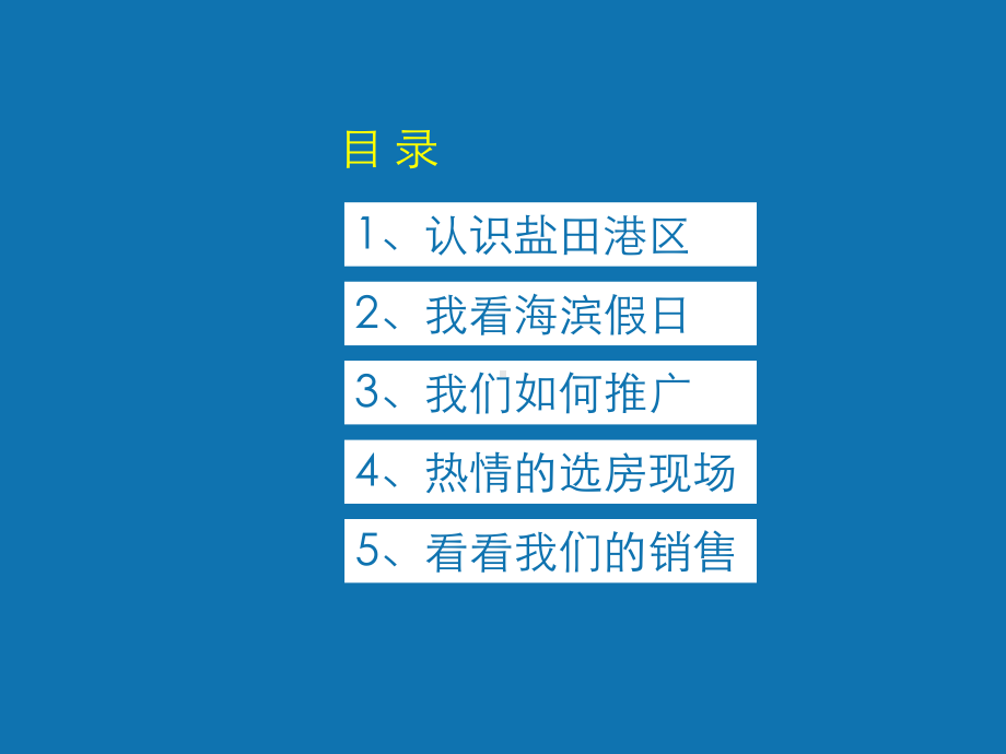 海滨假日项目营销总结.ppt_第2页