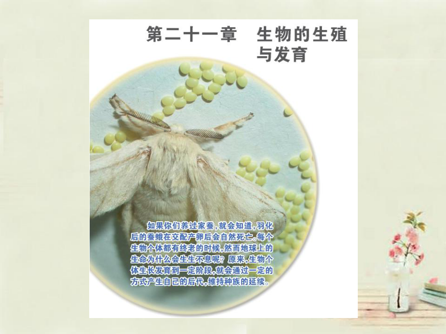 第一节：生物的无性生殖课件.ppt_第2页