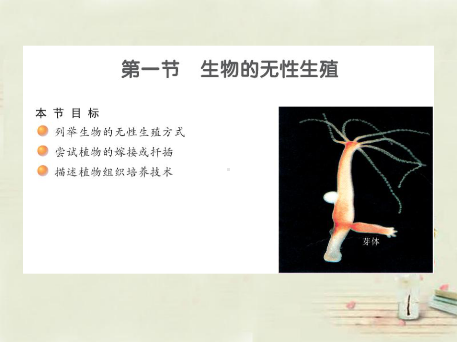 第一节：生物的无性生殖课件.ppt_第3页