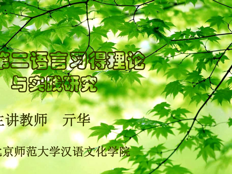 第三讲-偏误分析-(4)课件.ppt_第1页