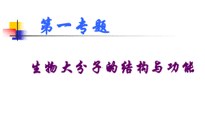 第一专题生物大分子的结构与功能课件.ppt