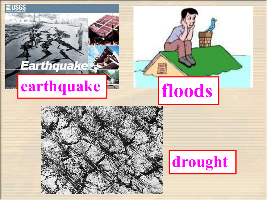 人教版选修六Unit5《The-power-of-nature》ppt课件.ppt_第3页