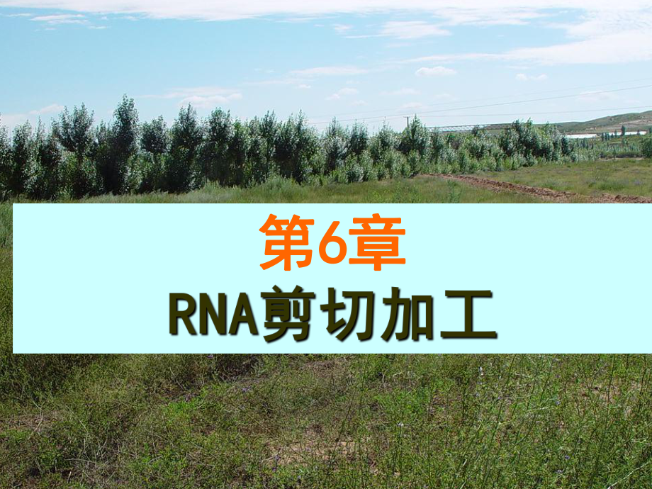 第6章RNA剪切加工-课件.ppt_第1页