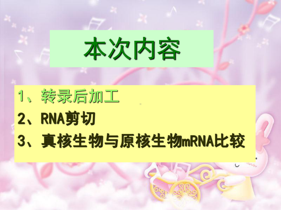 第6章RNA剪切加工-课件.ppt_第2页