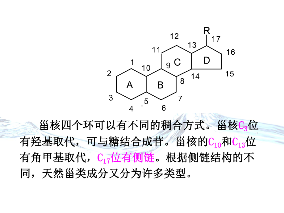 第九章-甾体及其苷类课件.ppt_第3页