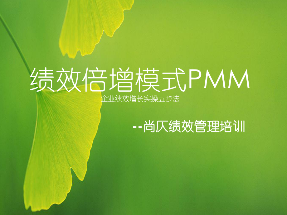 绩效倍增模式PMM(2)中高层课件.ppt_第1页