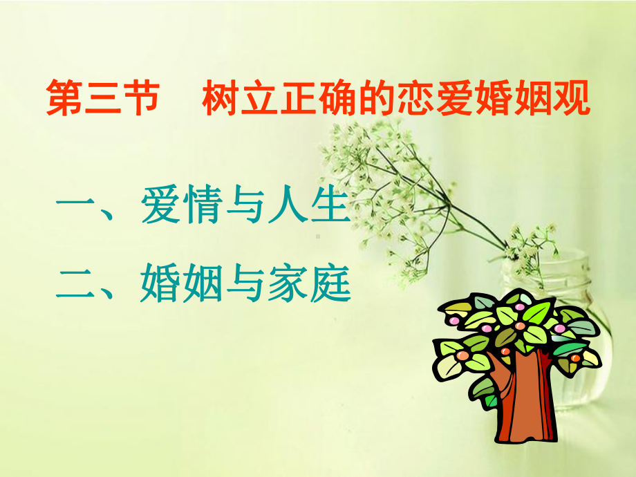 树立正确的恋爱婚姻观完课件.ppt_第1页