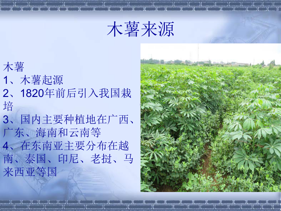 木薯变性淀粉生产应用共50页课件.ppt_第2页