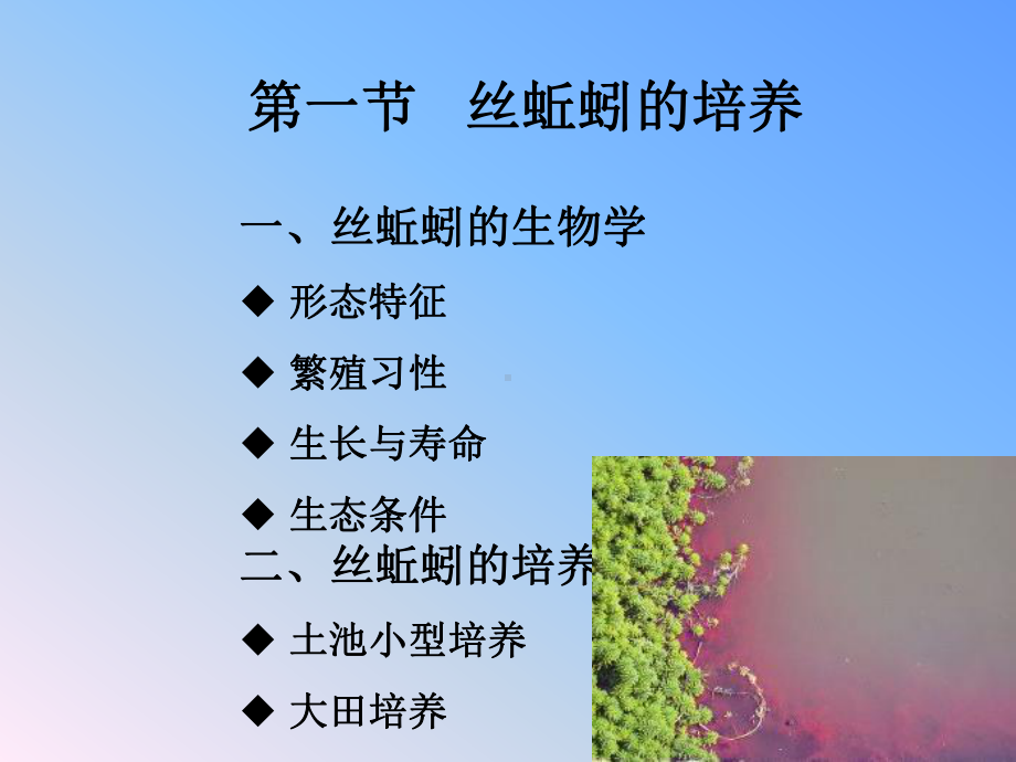 水丝蚓的培养-PPT精选课件.ppt_第3页