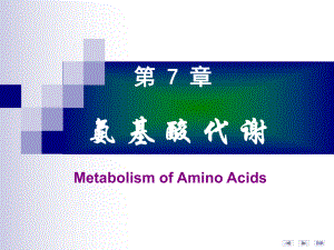 第07章氨基酸代谢(7)课件.ppt