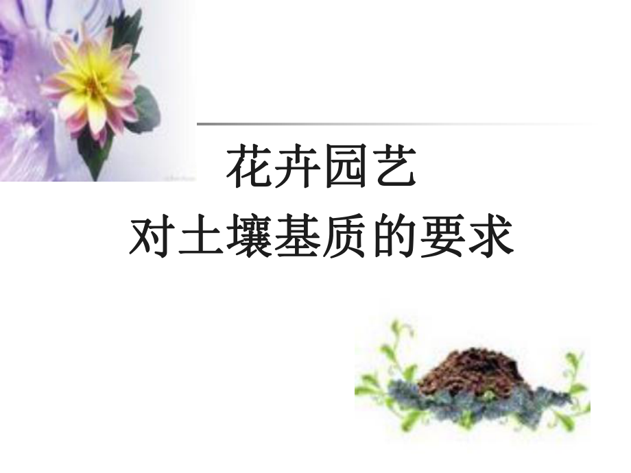 终稿：花卉园艺对土壤基质的要求课件.ppt_第1页