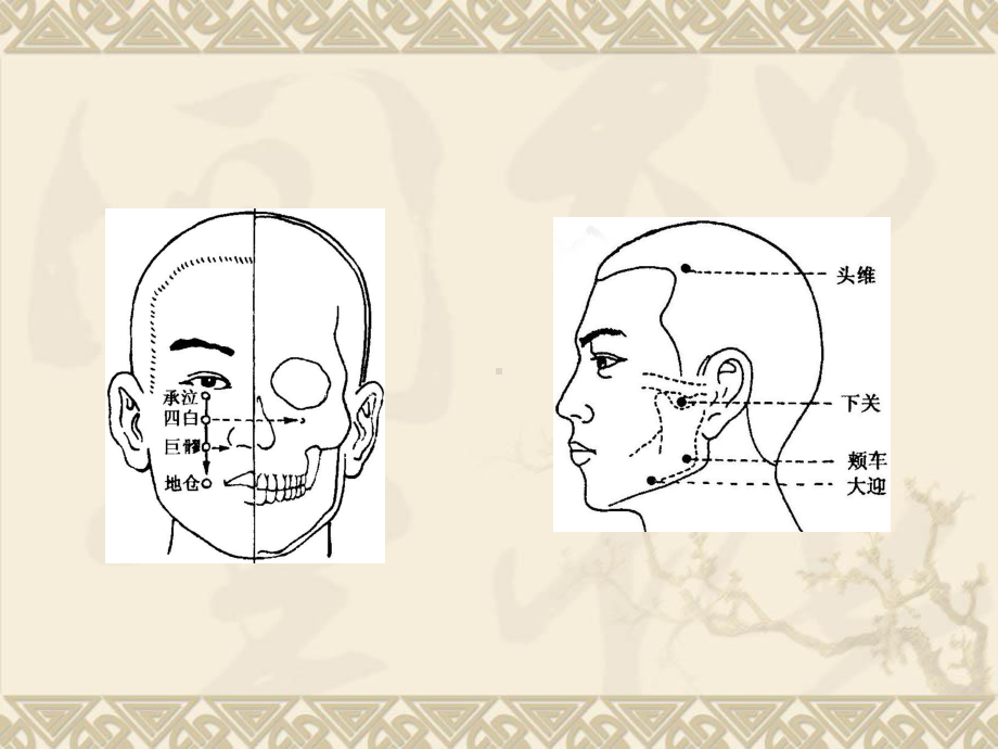 经络腧穴各论-足六经穴-针灸学课件PPT文档.ppt_第3页