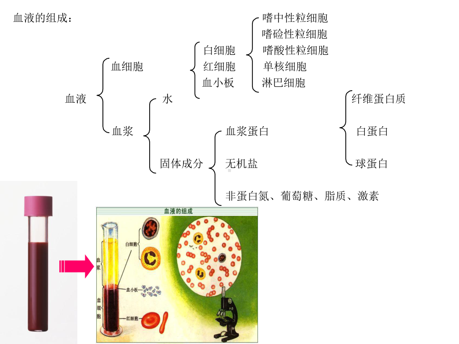 临床血液学检测-血液一般检测医学PPT课件.ppt_第2页