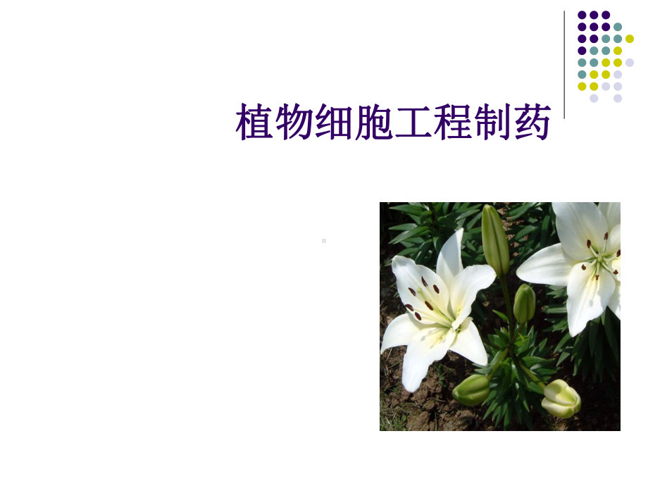 (ori)-T-DNA区包括：-章鱼碱合成酶基因nos-植物生长素课件.ppt_第1页