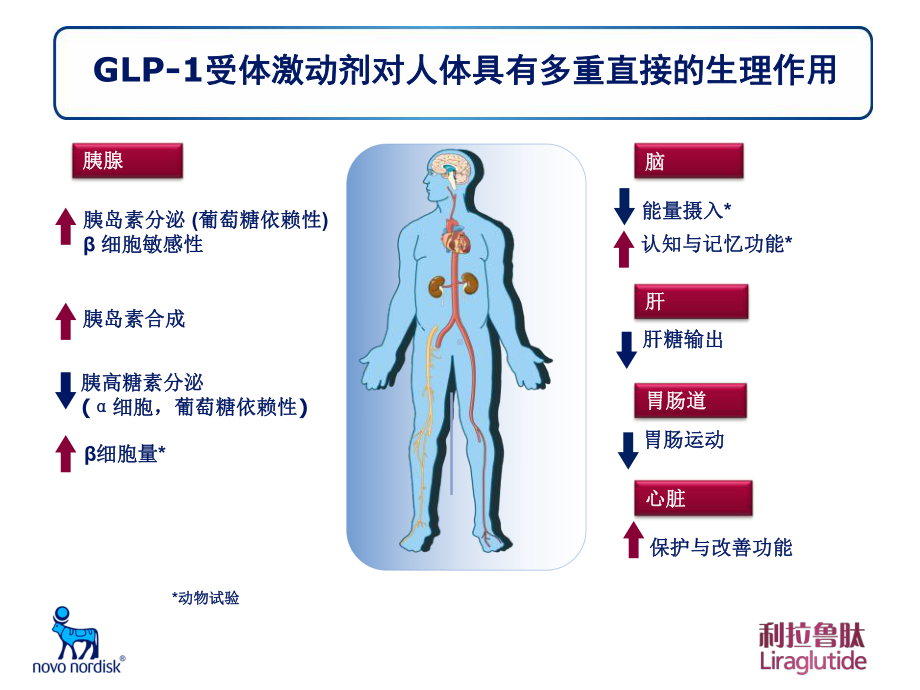 浅析GLP-1受体激动剂的比较课件.ppt_第3页