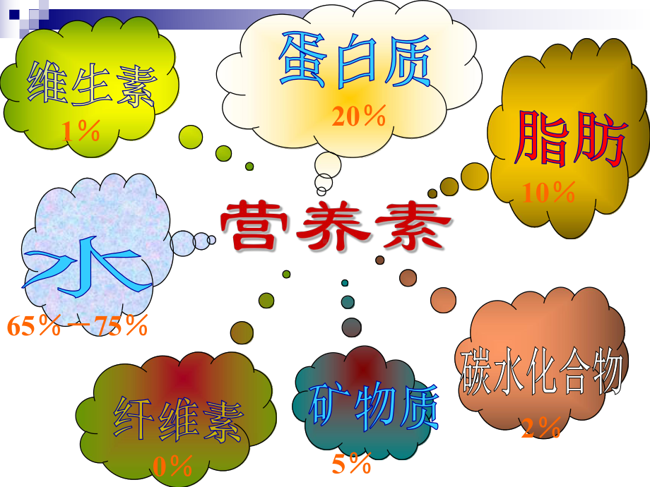 维生素、矿物质培训-PPT课件.ppt_第2页