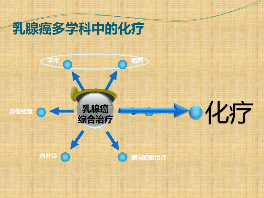 乳腺癌的化疗方案及注意事项.-共22页.ppt_第3页