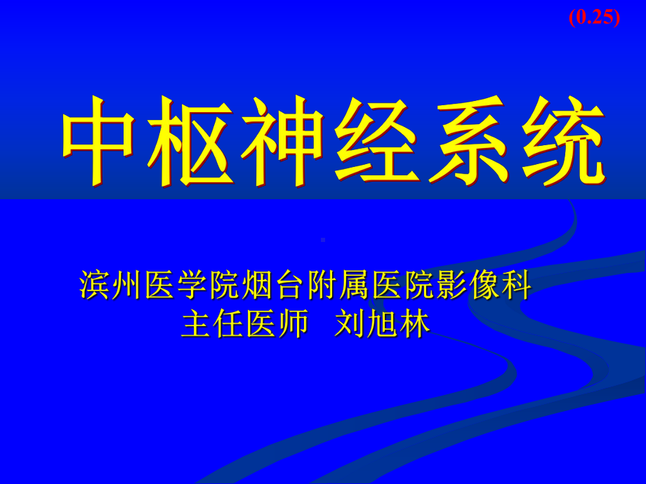 中枢神经系统课件-.ppt_第1页