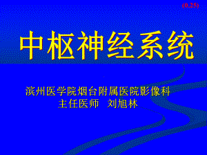 中枢神经系统课件-.ppt