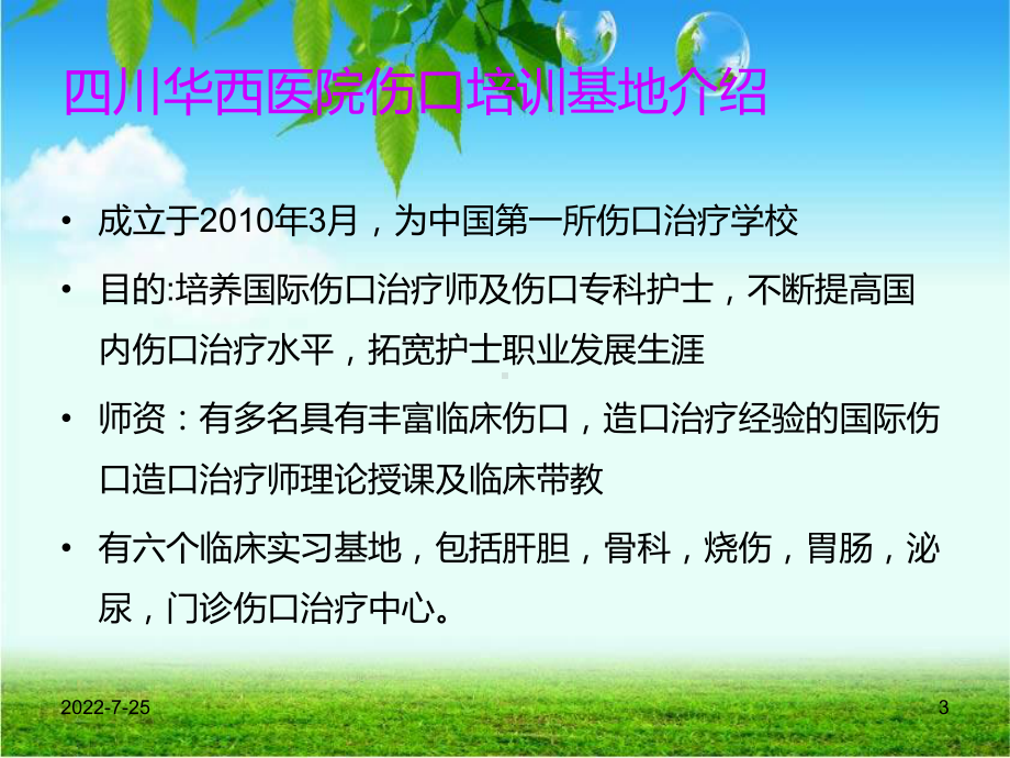 伤口造口学习汇报PPT幻灯片课件.ppt_第3页