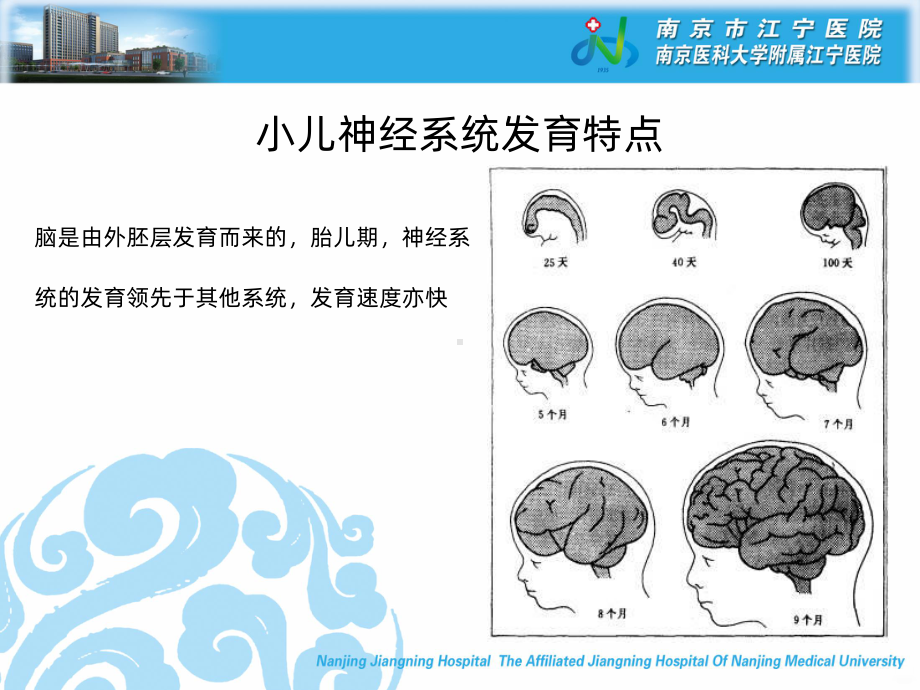 热性惊厥小讲座PPT课件.ppt_第2页