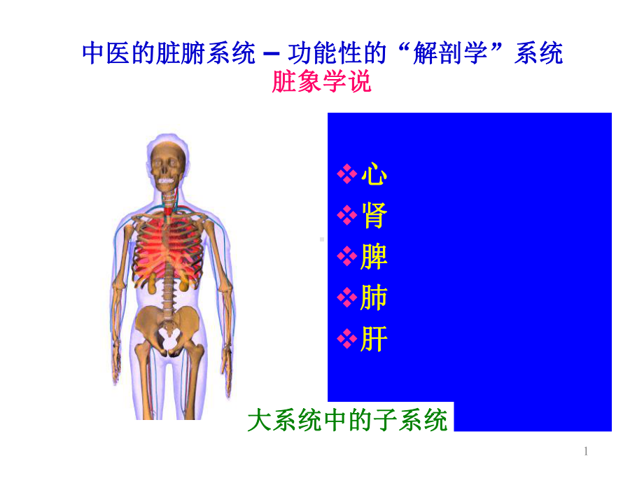 五脏六腑常识课件.ppt_第1页