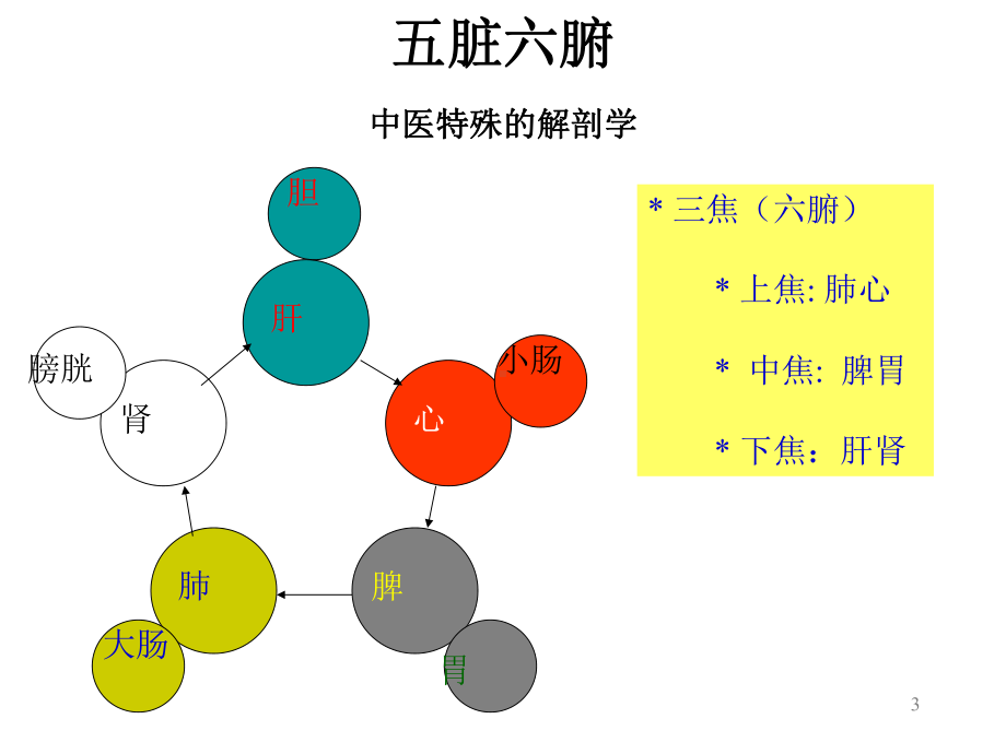 五脏六腑常识课件.ppt_第3页